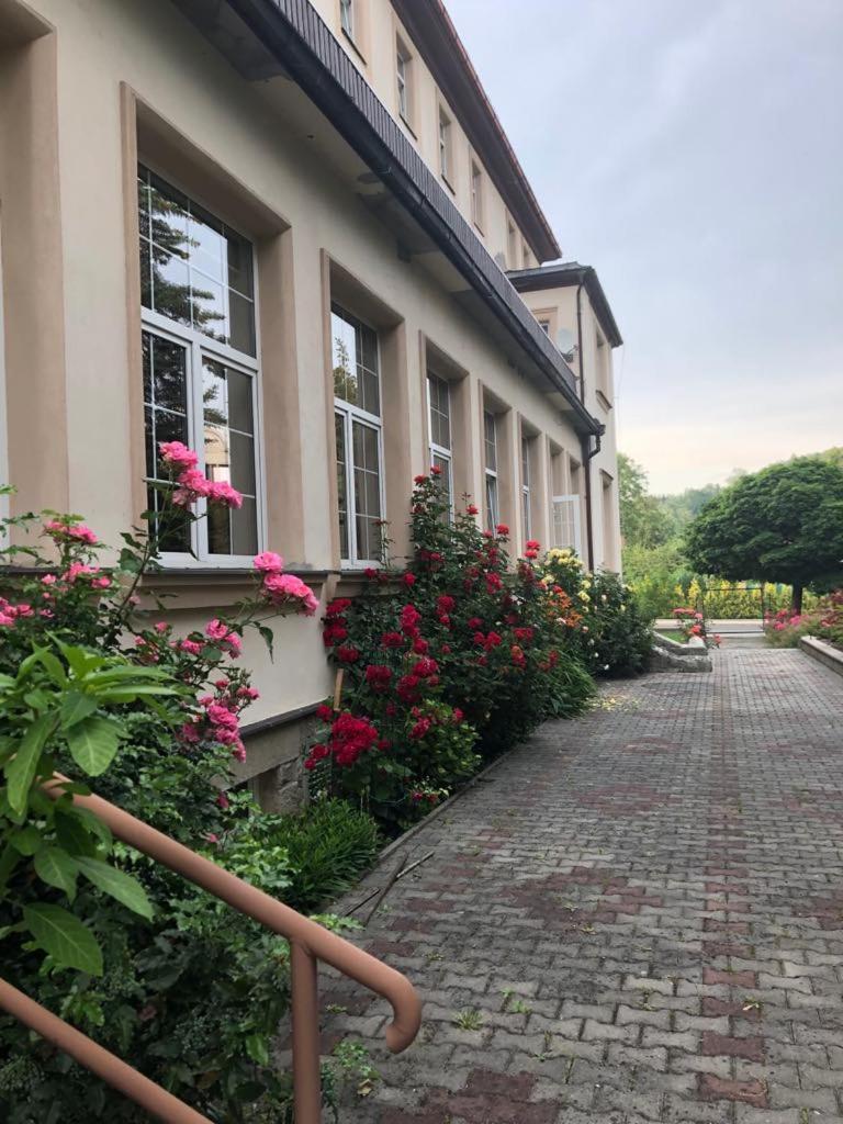 Grandhotel Nový Bor Extérieur photo